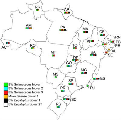 History and Status of Selected Hosts of the Ralstonia solanacearum Species Complex Causing Bacterial Wilt in Brazil